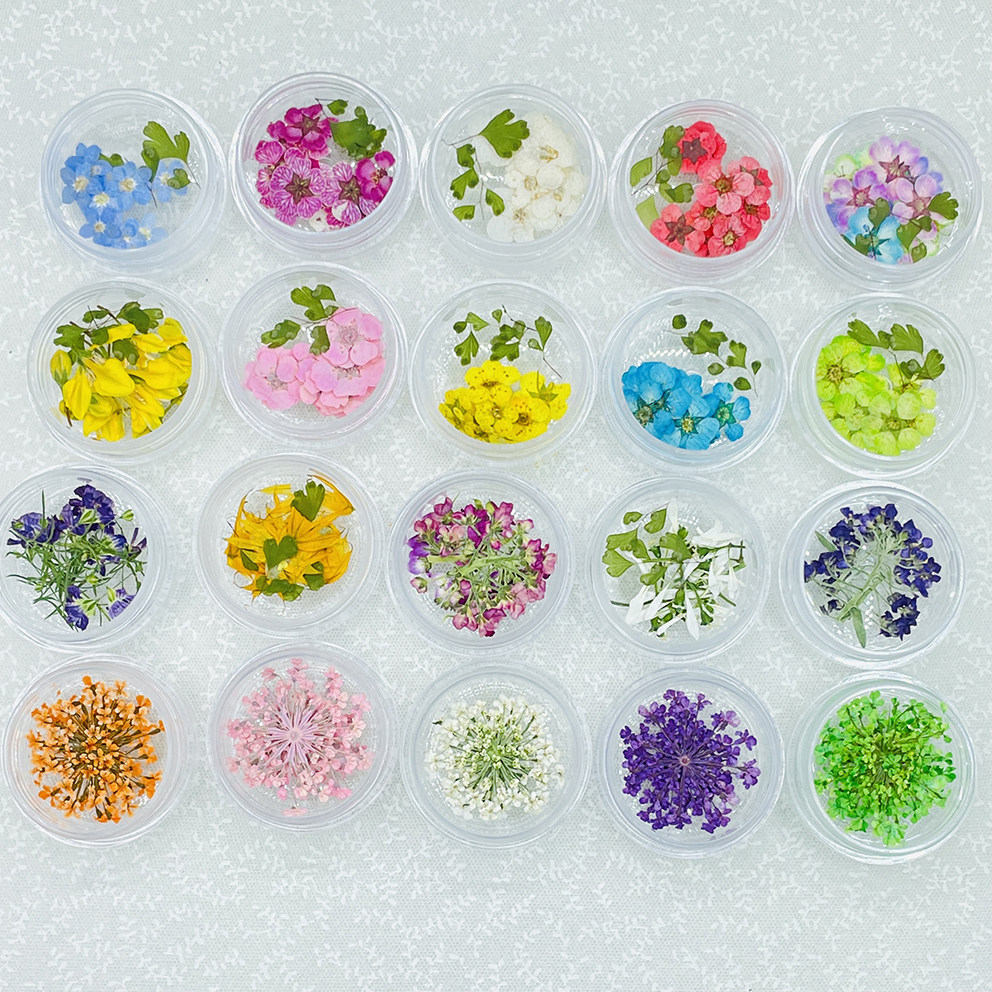 美甲干花蕾丝小水仙花勿忘我绣线菊花瓣妆滴胶饰品花材手机壳资材