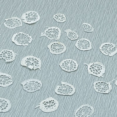 聪明手工教室睡莲干花