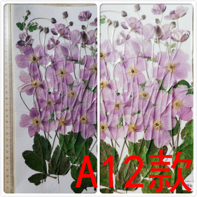 聪明谷手工教室进口花材干花