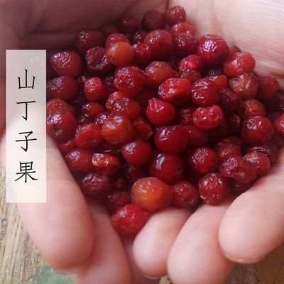 25年新货山丁子果山钉子糖李子自然熟透酸爽软面小时候的味道