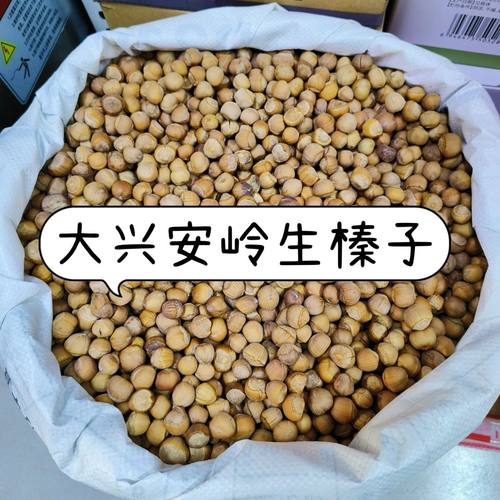 大兴安岭大山里的生榛子山榛子坚果零食带壳500g