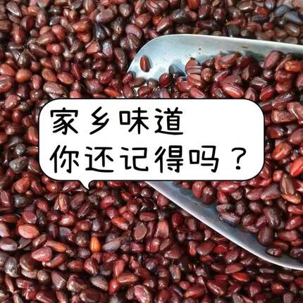 25新货大兴安岭水煮松子盐水煮雪松子咸味250克包邮解馋坚果零食