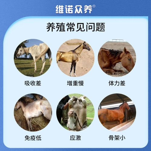 Скачки с высоким содержанием многомерного мульти -витаминного питания добавки для содействия длинным ногам и пухло