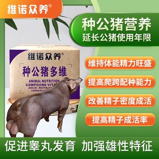 种公猪多维饲料预混料补充维生素营养提高精子配种率延长使用年限
