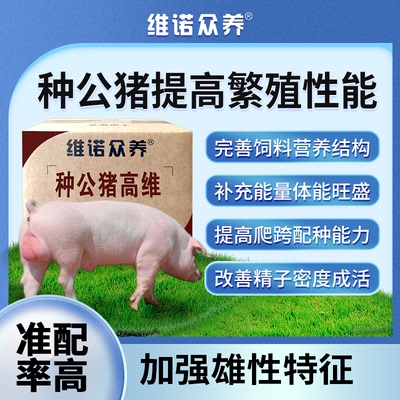 种公猪维生素预混料提高精力配种