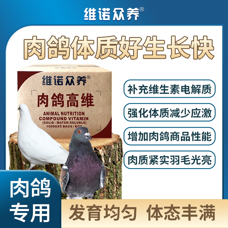 肉鸽高维水溶电解质复合维生素预混料补充营养促长动物减少应激