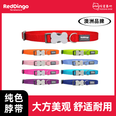 RedDingo瑞鼎狗 宠物狗狗项圈脖带狗圈颈圈小中大猫狗泰迪大型犬