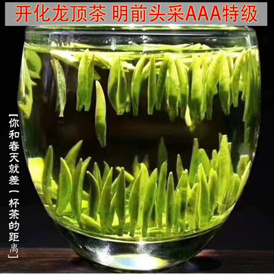 头采明前茶新茶开化龙顶