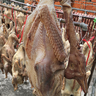 安徽寿县特产皖西农村腌制风晒带包整只大笨土白草腊咸鹅年货包邮