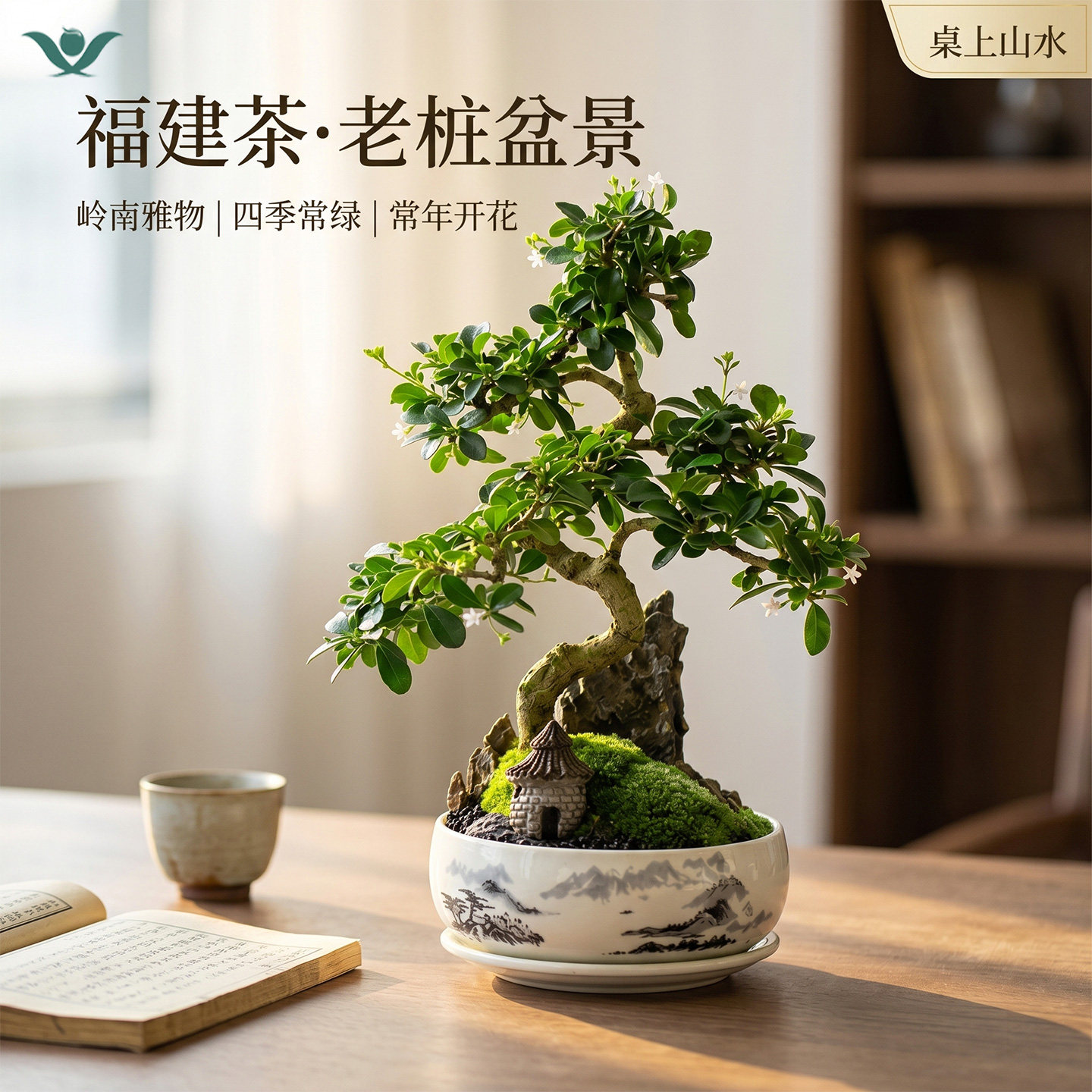 福建茶盆景微型禅意室内桌面摆件图片