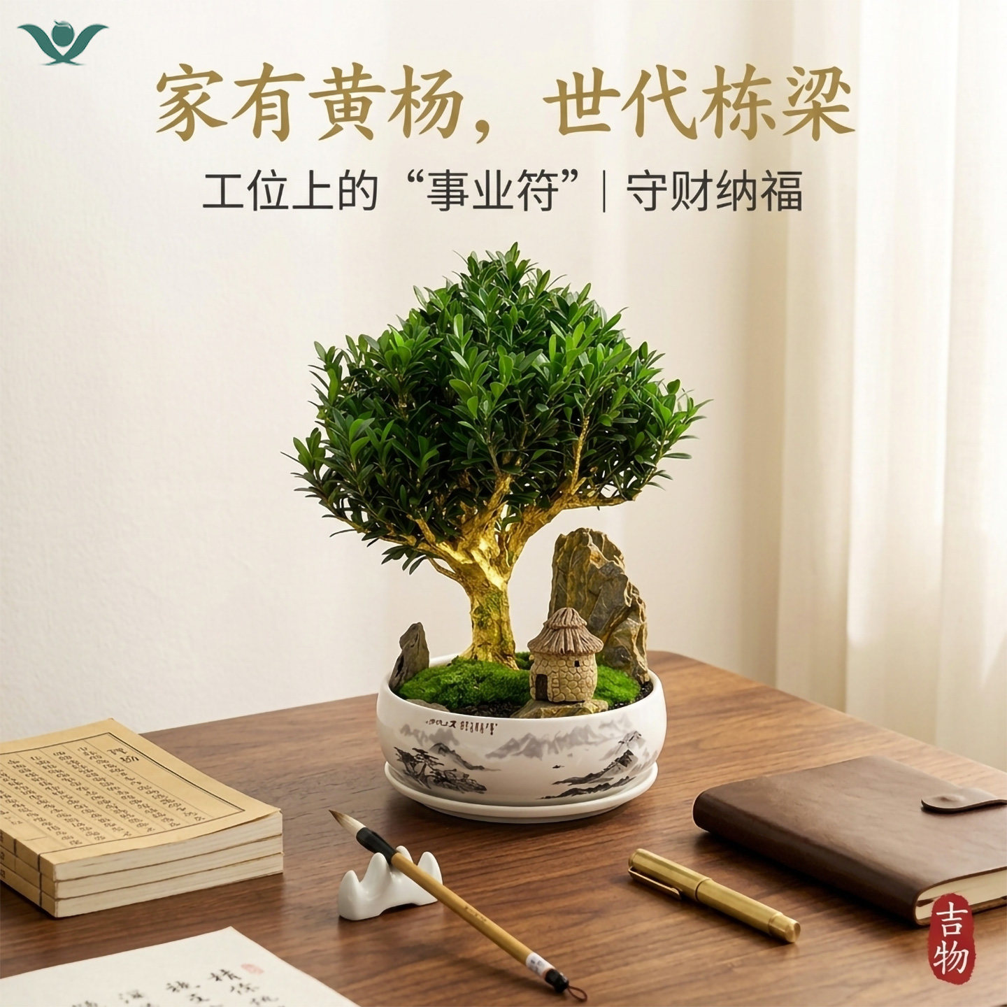 黄杨盆景办公室桌面禅意小盆栽好养常青办公桌高端微景观绿植摆件