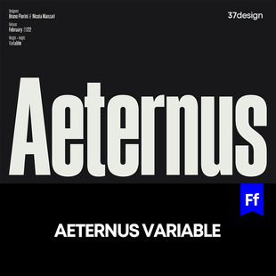 Aeternus 时尚无衬线可变英文字体logo品牌排版字体安装下载mac