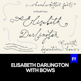 Elisabeth Darlington艺术花体卡片手写风格英文logo标识字体安装