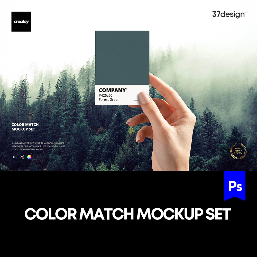 PANTONE潘通色卡色彩配色方案vi设计贴图ps样机素材展示效果模板