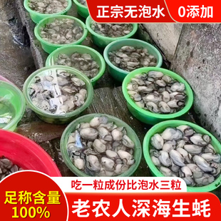 生蚝肉新鲜海蛎肉现剥牡蛎肉海蛎煎蚝肉2斤装