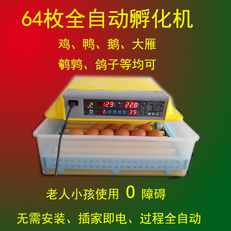 抱小鸡孵化机操作简单呼化箱小型