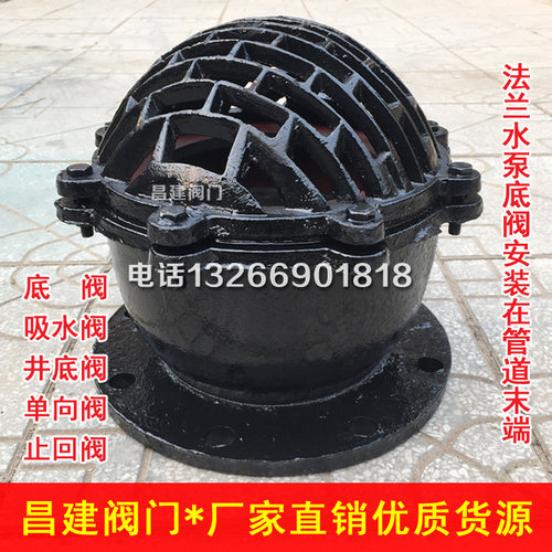 H42X法兰底阀水泵底阀单向阀止回阀莲蓬头DN50 80 100 150 200