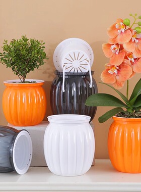 懒人自吸水南瓜花盆塑料水培土培绿萝绿植阳台桌面室内简约树脂盆