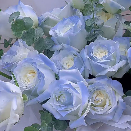 Pop roses*碎冰蓝喷色喷绘玫瑰鲜花节日家庭酒店办公家庭花瓶插花