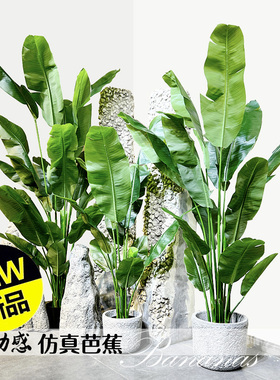 特丽卉包邮仿真植物芭蕉旅人蕉