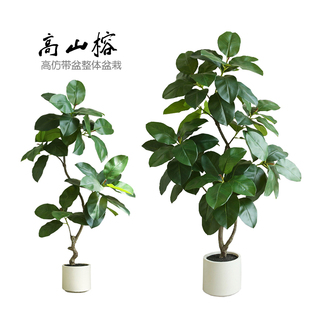 仿真高山榕假树带盆绿植物盆栽室内客厅桌面落地现代简约装饰摆件