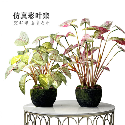 仿真假树彩叶绿植多叉把束仙芋合果芋盆栽室内造景装饰插花艺摆设