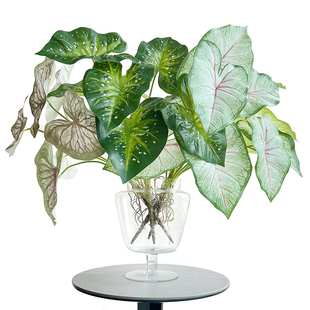 仿真手感3D打印色海芋叶彩芋叶花槽卡座橱窗庭院景观花艺绿植装饰