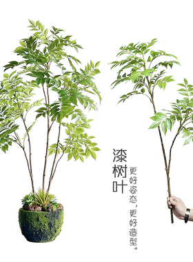 特丽卉仿真漆树叶包邮