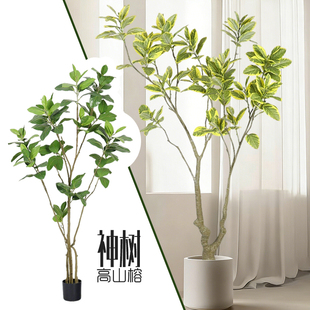 仿真高山榕黄金榕琴叶榕绿植物盆栽室内客厅摆设庭院景观装饰摆设