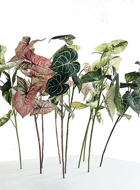 仿真单支彩色叶枝红掌叶水晶花烛仙芋叶室内摆放造景装饰绿植物