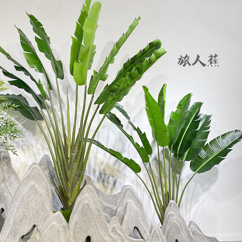 仿真旅人蕉芭蕉天堂鸟假树