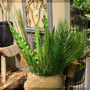 仿真单支把束剑叶巢蕨细竹节木贼枝散尾葵刚草线条绿叶花艺辅配材