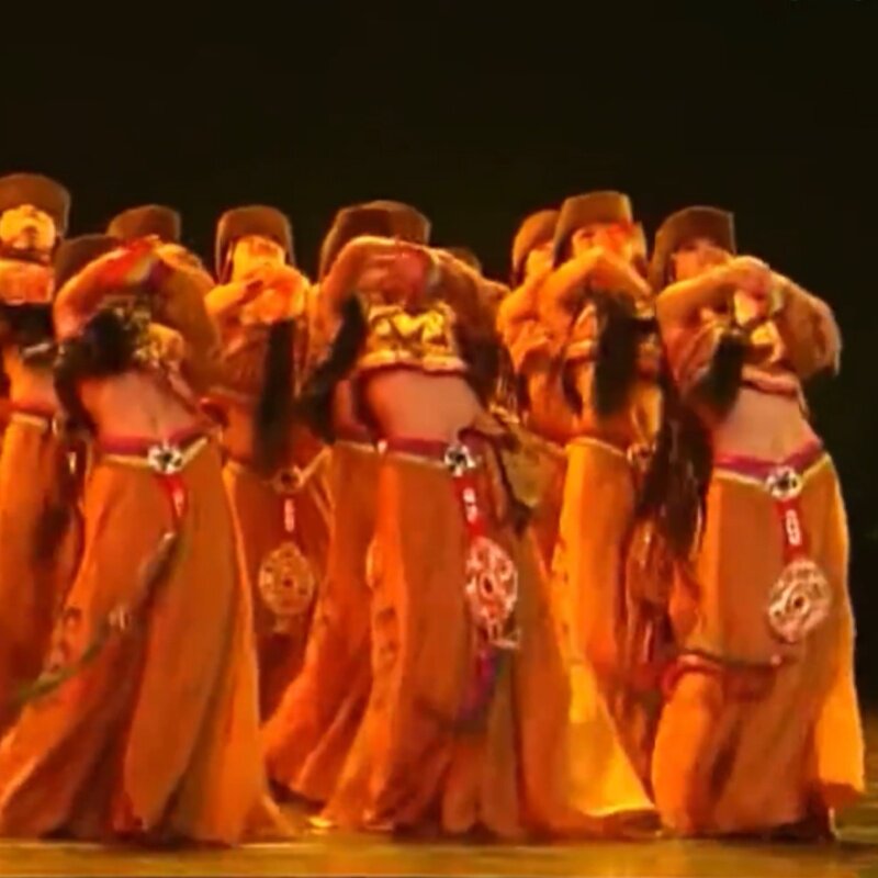 康定情歌藏族舞蹈服装民族风成人表演西域风情演出服装W