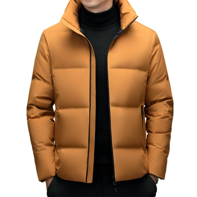 立领常规通勤风100g(含)-150g(不含)休闲风羽绒服