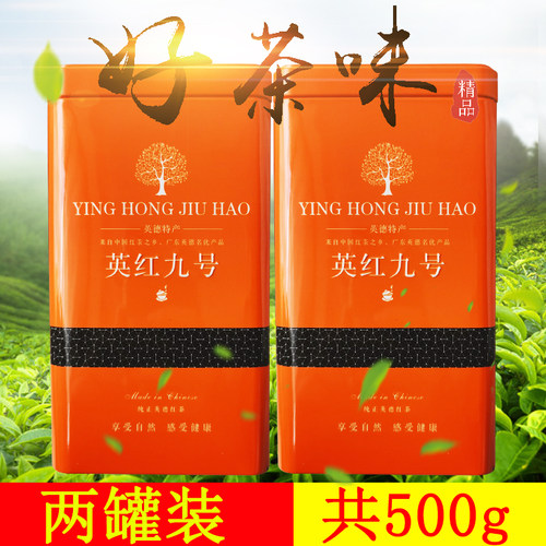 英德红茶英红九号一斤500g袋装