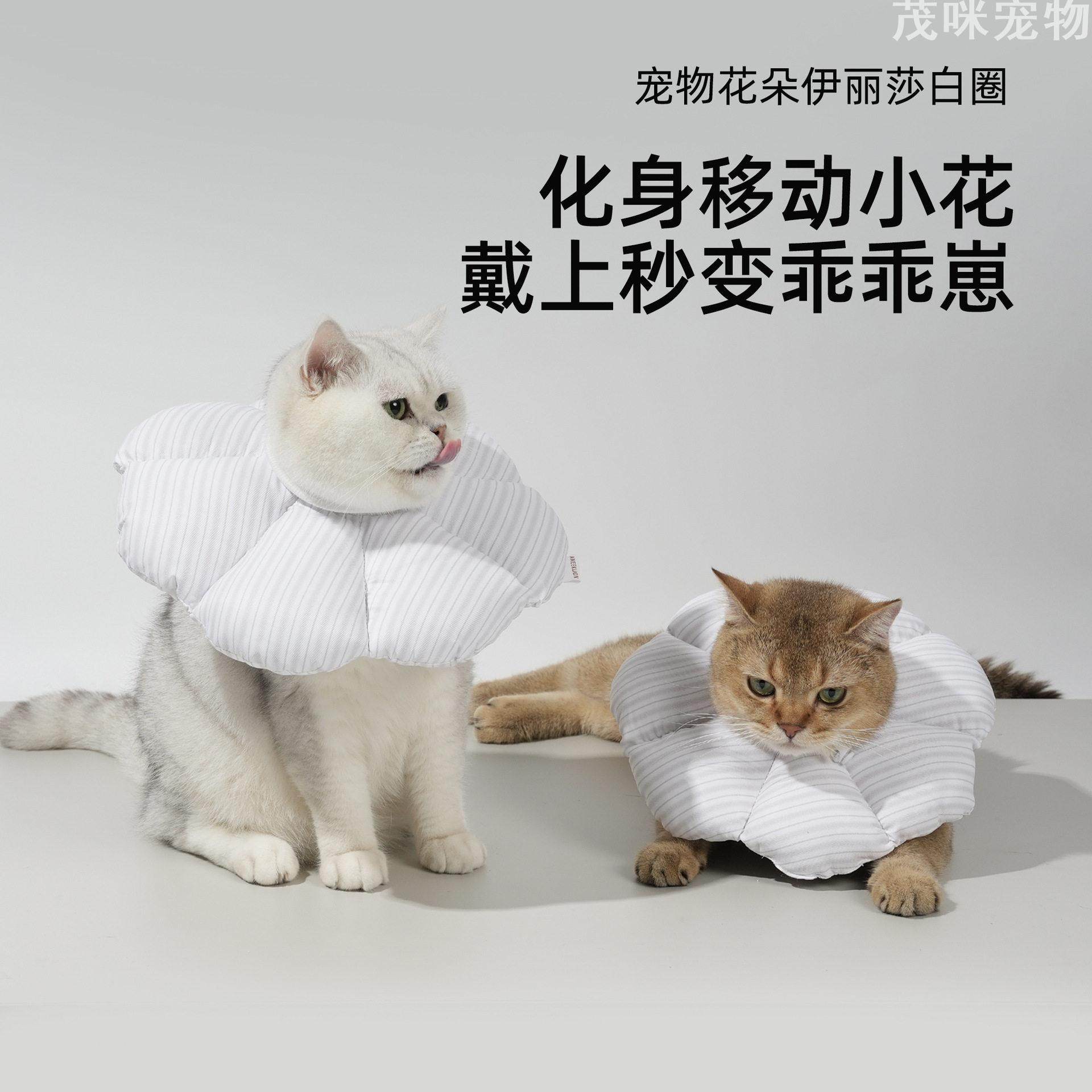 宠物花朵伊丽莎白圈猫咪绝育术后防舔咬软脖圈小型犬适用,宠物/宠物食品及用品,宠物伊丽莎白圈,淘宝优惠券,粉丝福利购,淘宝优惠卷