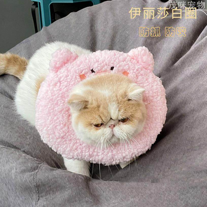 伊丽莎白圈猫咪防舔柔软防抓防咬猫软布项圈脖套宠物用品,宠物/宠物食品及用品,宠物伊丽莎白圈,淘宝优惠券,粉丝福利购,淘宝优惠卷