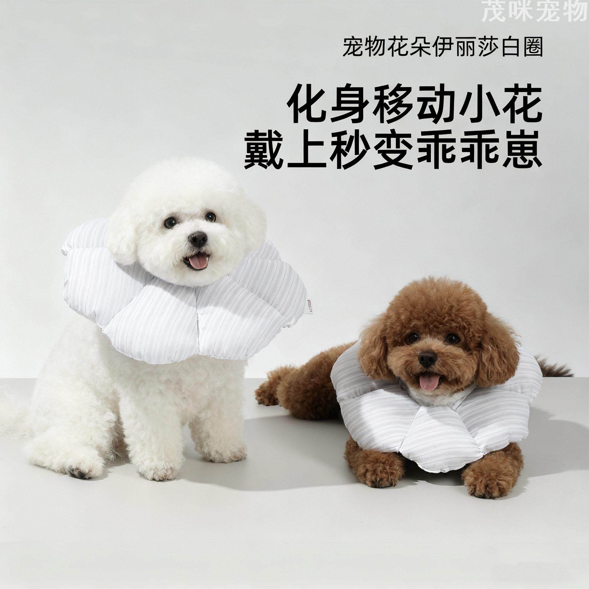 宠物伊丽莎白圈防舔咬猫咪头套可调节小型犬项圈绝育术后保护,宠物/宠物食品及用品,宠物伊丽莎白圈,淘宝优惠券,粉丝福利购,淘宝优惠卷