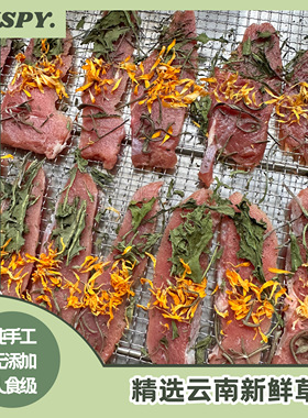 烘干草本鸭肉干鸡肉干姜黄蒲公英欧芹金盏花训练奖励狗零食