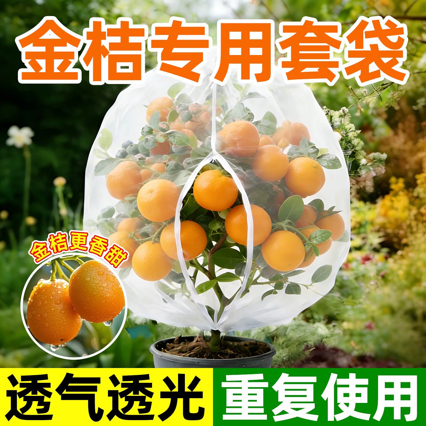 金桔专用套袋透气透光防虫网罩园艺种植防鸟网袋重复使用防鸟网袋