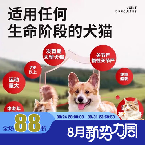 新西兰安替诺277髌骨脱位