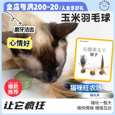 猫咪旺农场逗猫玩具磨牙洁牙解压