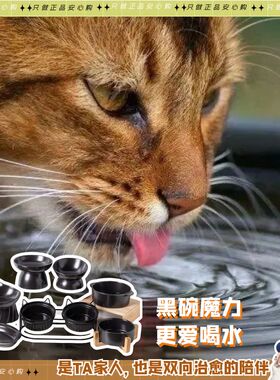 领养之家 黑色猫喝水双陶瓷食盆猫咪饭猫狗碗猫碗盆猫食狗盆狗碗