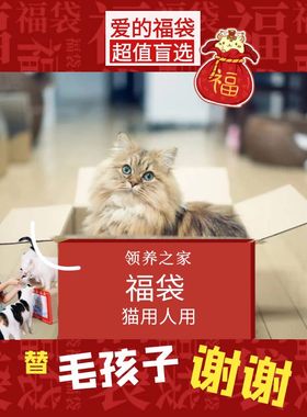 领养之家/共度难关特惠福袋人宠共用超值猫用人用