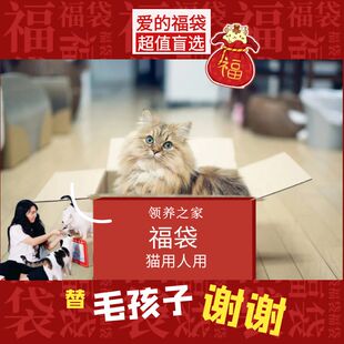 领养之家/共度难关特惠福袋人宠共用超值猫用人用