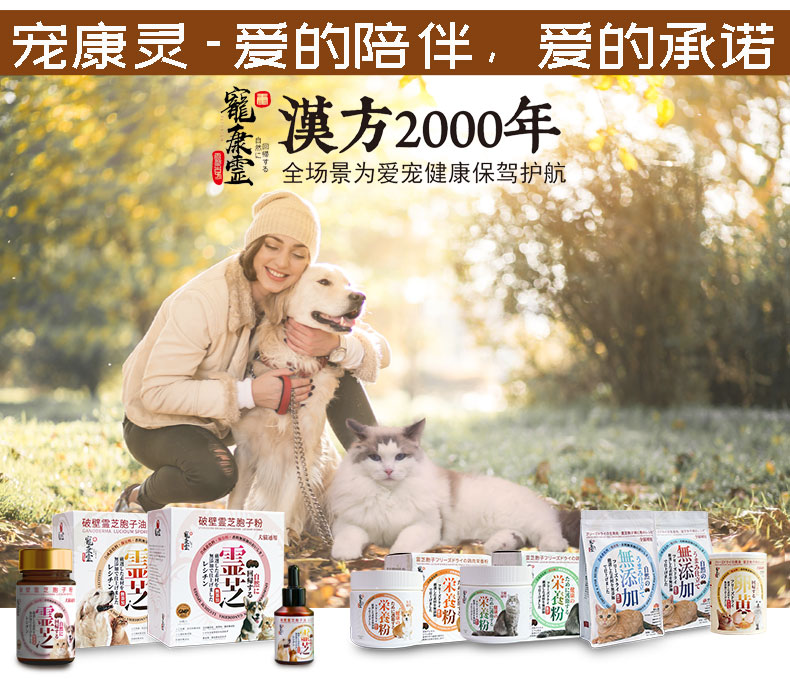 提高免疫冻干含免疫灵芝