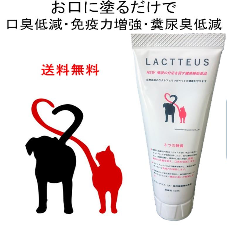 口腔养护牙膏lactteus乳酸菌