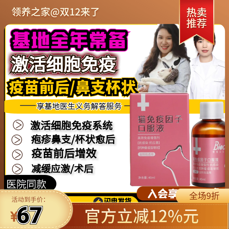 领养之家博莱得利猫抗感染宠物猫