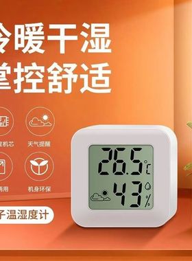 高精准电子室内温湿度计迷你婴儿房温度表壁挂式干湿显示检测仪器
