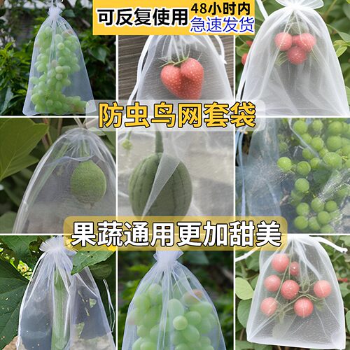 葡萄套袋防鸟通用袋瓜果防虫专用袋无花果枇杷葡萄桃子草莓育苗袋